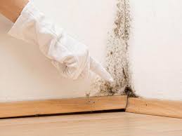 Best Mold Damage Restoration  in Poplar Cotton Center, CA